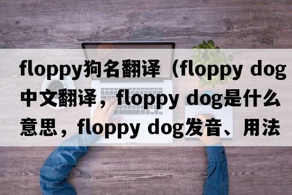floppy狗名翻譯（floppy dog中文翻譯，floppy dog是什么意思，floppy dog發(fā)音、用法及例句）