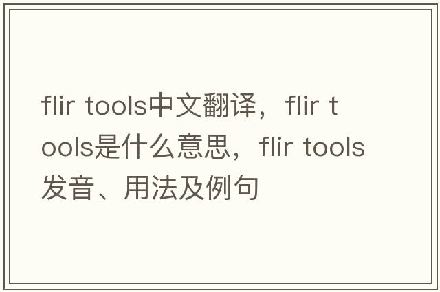 flir tools中文翻譯，flir tools是什么意思，flir tools發(fā)音、用法及例句