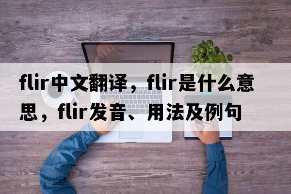 flir中文翻譯，flir是什么意思，flir發(fā)音、用法及例句