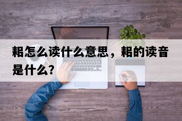 耜怎么讀什么意思，耜的讀音是什么？