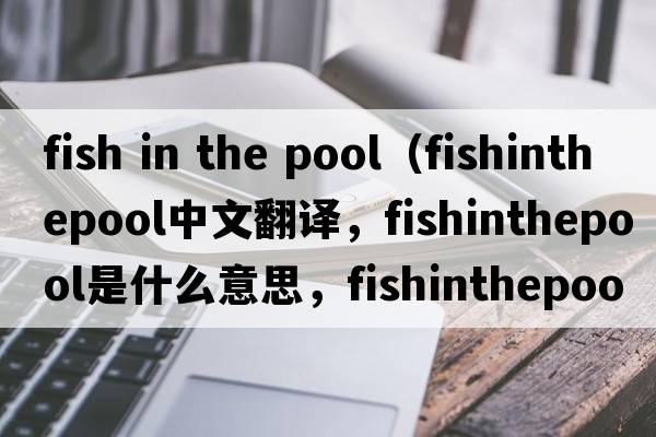 fish in the pool（fishinthepool中文翻譯，fishinthepool是什么意思，fishinthepool發(fā)音、用法及例句）