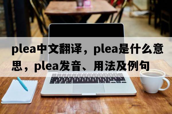plea中文翻譯，plea是什么意思，plea發(fā)音、用法及例句