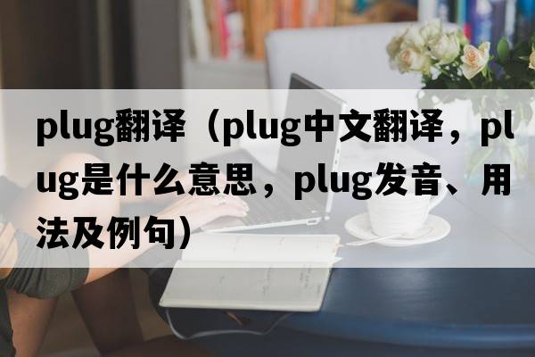 plug翻譯（plug中文翻譯，plug是什么意思，plug發(fā)音、用法及例句）