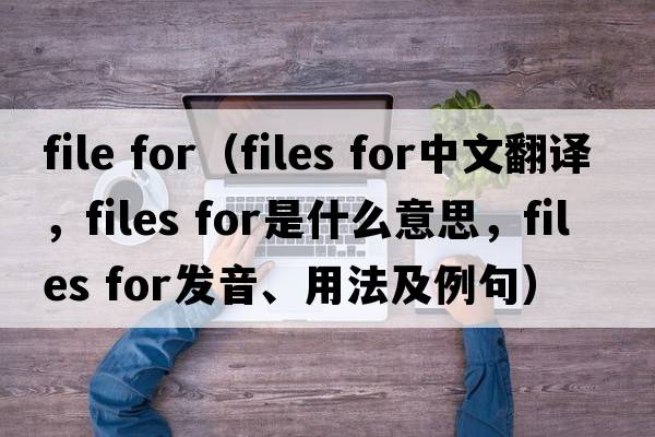file for（files for中文翻譯，files for是什么意思，files for發(fā)音、用法及例句）