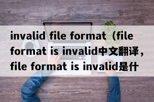 invalid file format（file format is invalid中文翻譯，file format is invalid是什么意思，file format is invalid發(fā)音、