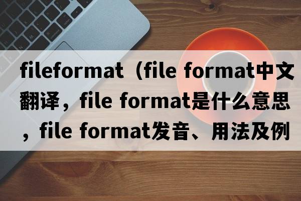 fileformat（file format中文翻譯，file format是什么意思，file format發(fā)音、用法及例句）