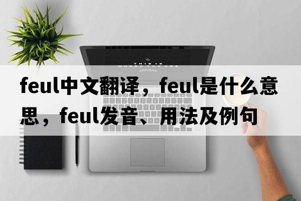 feul中文翻譯，feul是什么意思，feul發(fā)音、用法及例句