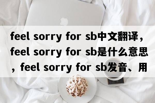 feel sorry for sb中文翻譯，feel sorry for sb是什么意思，feel sorry for sb發(fā)音、用法及例句
