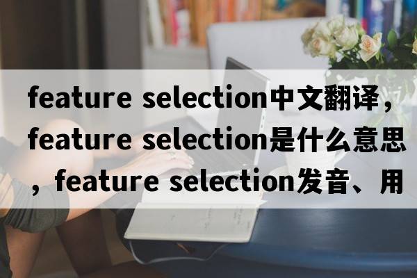 feature selection中文翻譯，feature selection是什么意思，feature selection發(fā)音、用法及例句