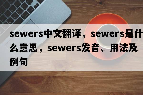 sewers中文翻譯，sewers是什么意思，sewers發(fā)音、用法及例句