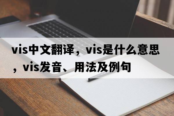 vis中文翻譯，vis是什么意思，vis發(fā)音、用法及例句