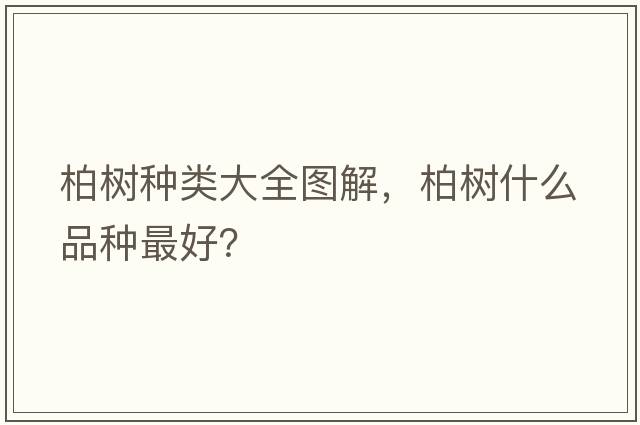 柏樹(shù)種類(lèi)大全圖解，柏樹(shù)什么品種最好？