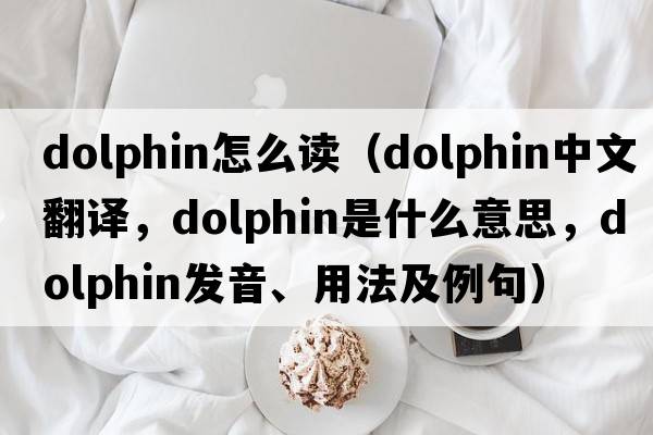 dolphin怎么讀（dolphin中文翻譯，dolphin是什么意思，dolphin發(fā)音、用法及例句）