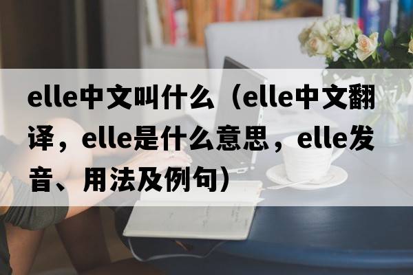 elle中文叫什么（elle中文翻譯，elle是什么意思，elle發(fā)音、用法及例句）