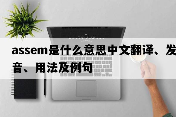 assem是什么意思中文翻譯、發(fā)音、用法及例句