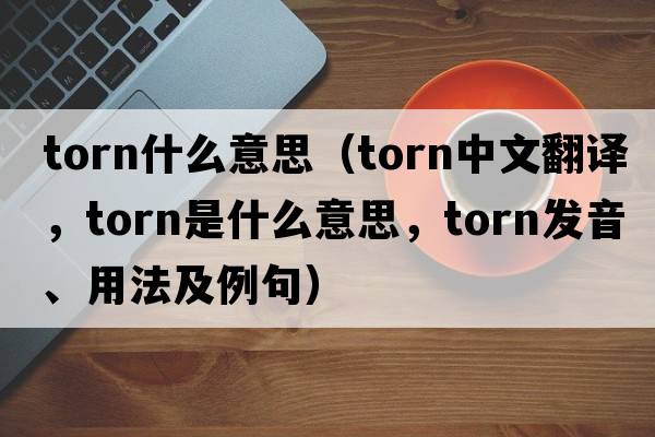torn什么意思（torn中文翻譯，torn是什么意思，torn發(fā)音、用法及例句）