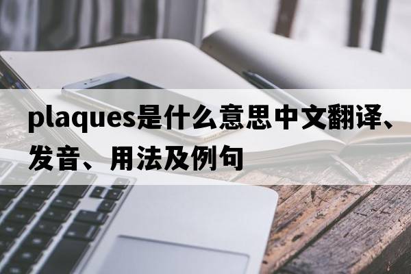 plaques是什么意思中文翻譯、發(fā)音、用法及例句