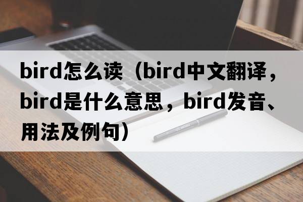 bird怎么讀（bird中文翻譯，bird是什么意思，bird發(fā)音、用法及例句）