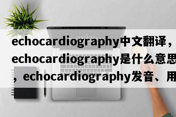 echocardiography中文翻譯，echocardiography是什么意思，echocardiography發(fā)音、用法及例句