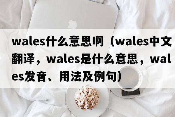 wales什么意思?。╳ales中文翻譯，wales是什么意思，wales發(fā)音、用法及例句）