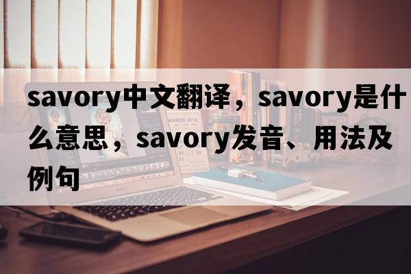 savory中文翻譯，savory是什么意思，savory發(fā)音、用法及例句