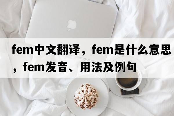 fem中文翻譯，fem是什么意思，fem發(fā)音、用法及例句