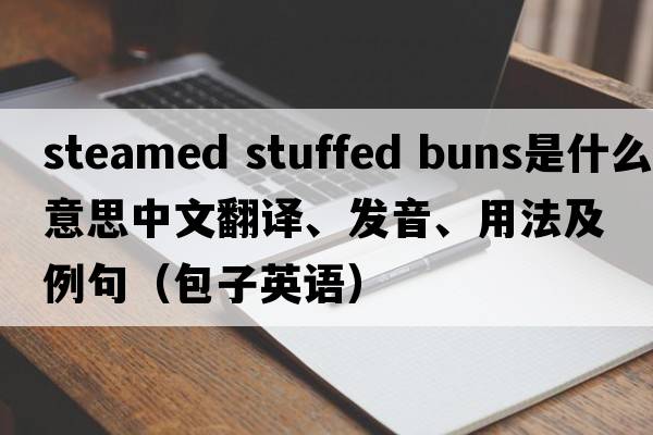 steamed stuffed buns是什么意思中文翻譯、發(fā)音、用法及例句（包子英語(yǔ)）