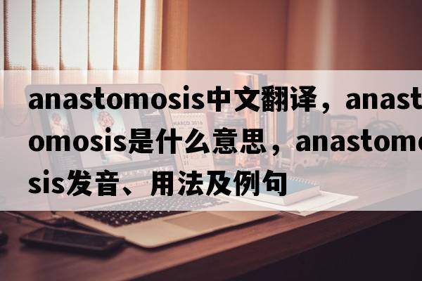 anastomosis中文翻譯，anastomosis是什么意思，anastomosis發(fā)音、用法及例句
