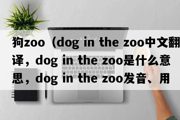 狗zoo（dog in the zoo中文翻譯，dog in the zoo是什么意思，dog in the zoo發(fā)音、用法及例句）
