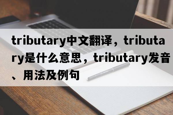 tributary中文翻譯，tributary是什么意思，tributary發(fā)音、用法及例句