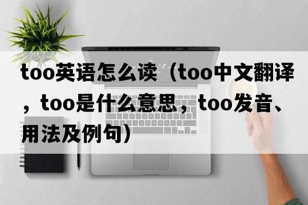 too英語(yǔ)怎么讀（too中文翻譯，too是什么意思，too發(fā)音、用法及例句）