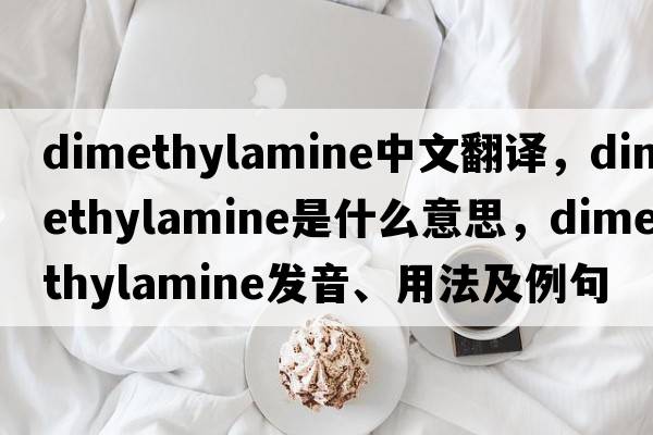 dimethylamine中文翻譯，dimethylamine是什么意思，dimethylamine發(fā)音、用法及例句
