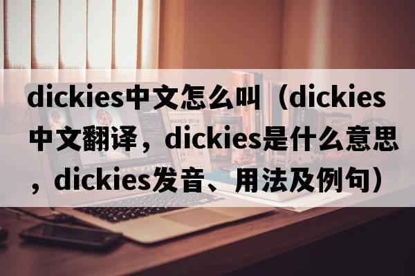 dickies中文怎么叫（dickies中文翻譯，dickies是什么意思，dickies發(fā)音、用法及例句）