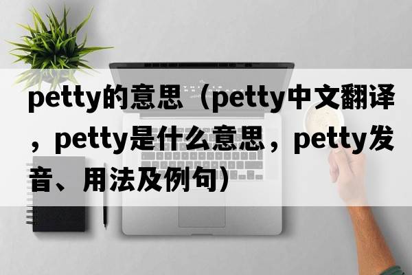 petty的意思（petty中文翻譯，petty是什么意思，petty發(fā)音、用法及例句）