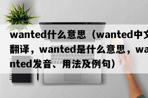 wanted什么意思（wanted中文翻譯，wanted是什么意思，wanted發(fā)音、用法及例句）