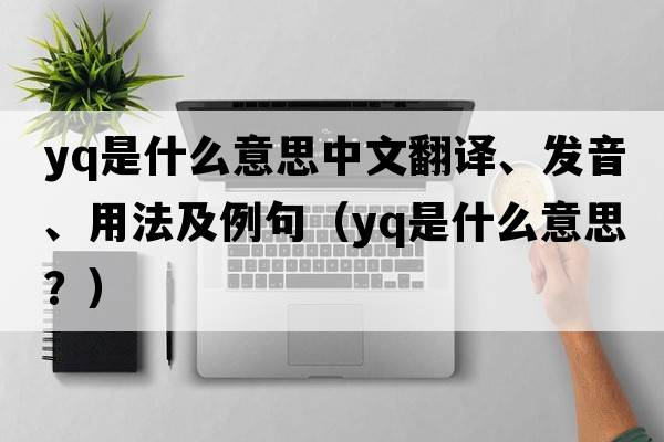Yq是什么意思中文翻譯、發(fā)音、用法及例句（yq是什么意思？）