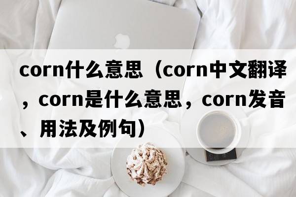 corn什么意思（corn中文翻譯，corn是什么意思，corn發(fā)音、用法及例句）