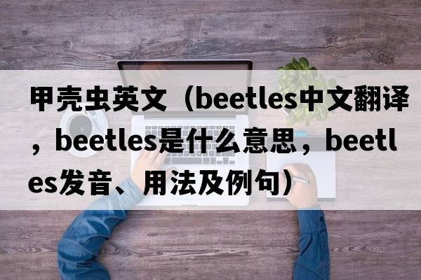 甲殼蟲(chóng)英文（beetles中文翻譯，beetles是什么意思，beetles發(fā)音、用法及例句）
