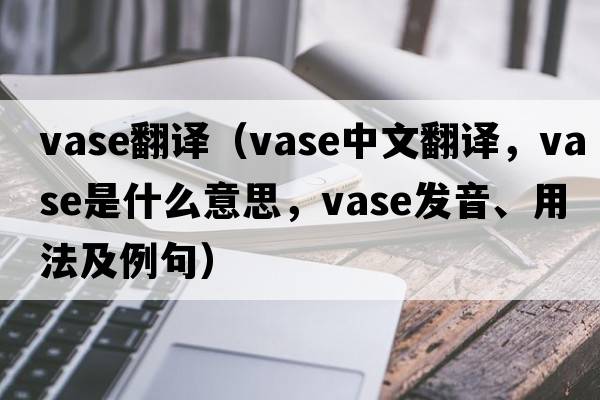 vase翻譯（vase中文翻譯，vase是什么意思，vase發(fā)音、用法及例句）