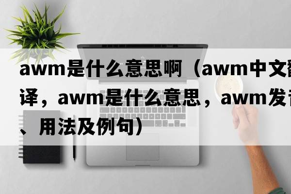 awm是什么意思?。╝wm中文翻譯，awm是什么意思，awm發(fā)音、用法及例句）