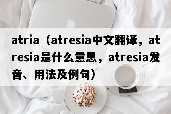 atria（atresia中文翻譯，atresia是什么意思，atresia發(fā)音、用法及例句）