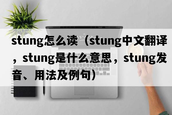 stung怎么讀（stung中文翻譯，stung是什么意思，stung發(fā)音、用法及例句）