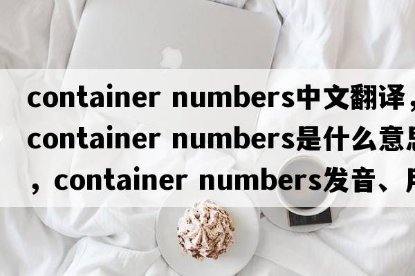 container numbers中文翻譯，container numbers是什么意思，container numbers發(fā)音、用法及例句