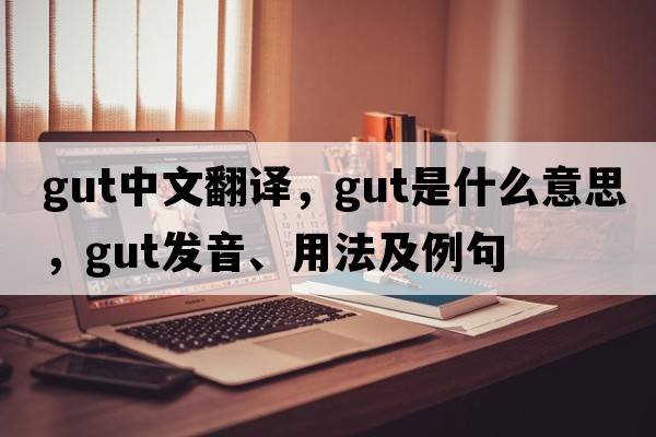 gut中文翻譯，gut是什么意思，gut發(fā)音、用法及例句