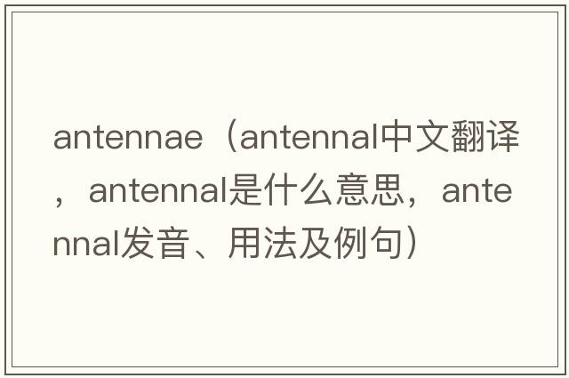 antennae（antennal中文翻譯，antennal是什么意思，antennal發(fā)音、用法及例句）