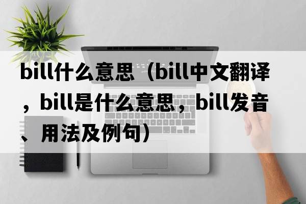 bill什么意思（bill中文翻譯，bill是什么意思，bill發(fā)音、用法及例句）