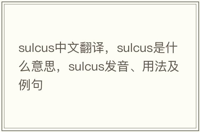 sulcus中文翻譯，sulcus是什么意思，sulcus發(fā)音、用法及例句
