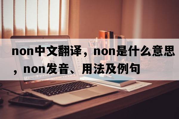 non中文翻譯，non是什么意思，non發(fā)音、用法及例句