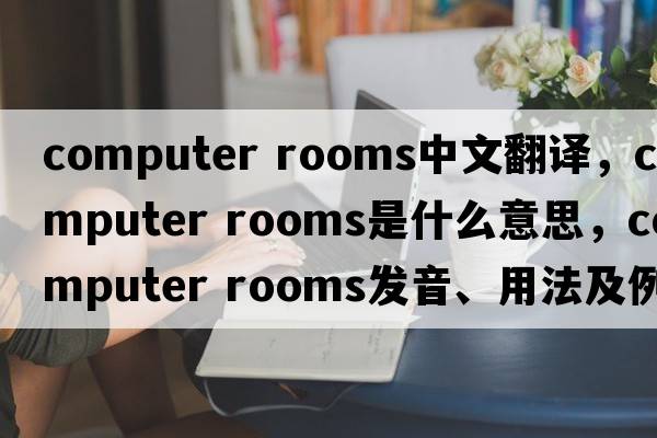 computer rooms中文翻譯，computer rooms是什么意思，computer rooms發(fā)音、用法及例句