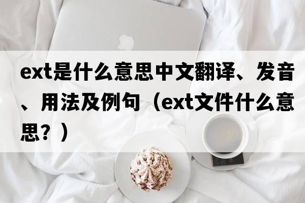 ext是什么意思中文翻譯、發(fā)音、用法及例句（ext文件什么意思？）